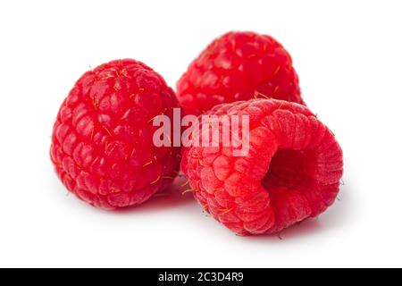 Raspberry Stock Photo