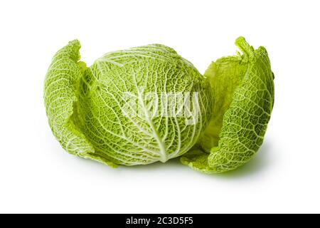 Cabbage Stock Photo