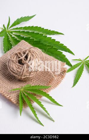 Fabric fiber threads from hemp plant material. The concept of natural production. Vertical frame top view. Stock Photo