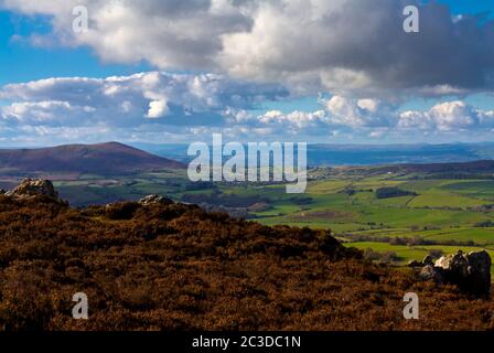 View looking west towards Corndon Hill and the Welsh Border countryside from The Stiperstones in the Shropshire Hills England UK Stock Photo