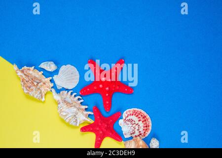 Starfish and seashells on a blue and yellow background Stock Photo