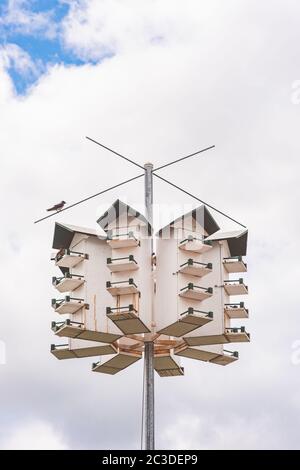 Purple martin birdhouses on Amish farm Stock Photo - Alamy