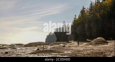 Bay of Fundy during low tide in Nova Scotia, Canada. Stock Photo