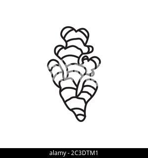 ginger line icon vector isolated on white background Stock Vector