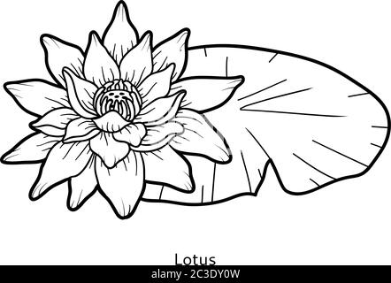 Coloring book for children, flower Lotus Stock Vector