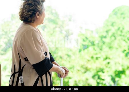 Close up of walking stick Stock Photo