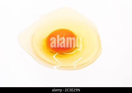 Egg yolk and white on white background Stock Photo