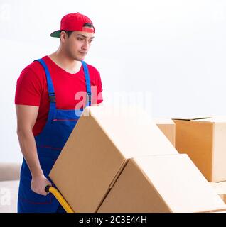 Contractor worker moving boxes during office move Stock Photo