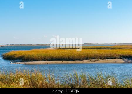 Salt Marsh and Long Point Lighthouse in distance on horizon near Provincetown Cape Cod, USA. Stock Photo