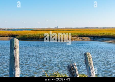Salt Marsh and Long Point Lighthouse in distance on horizon near Provincetown Cape Cod, USA. Stock Photo