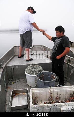 Two indigenous First Nation men baiting a long-line fishing line in the  Pacific, Great Bear Rainforest, Bella Bella, British Columbia, Canada Stock  Photo - Alamy