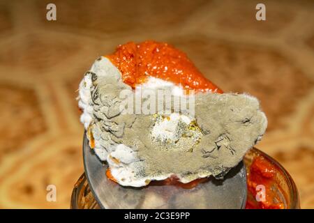 Mold growing on the tomato paste. Close up Stock Photo