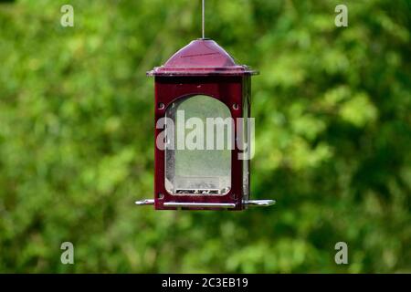 Horizontal shot of an almost empty hanging bird feeder with copy space. Stock Photo