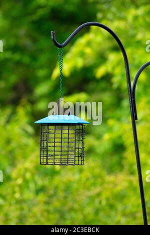 Vertical shot of a completely empty hanging bird feeder with out of focus greenery behind it. Stock Photo