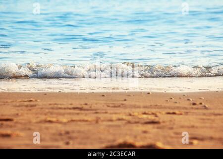 A small wave at the sandy beach Stock Photo