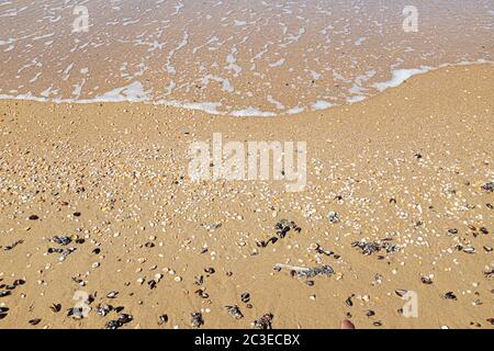 A small wave at the sandy beach with seashells Stock Photo