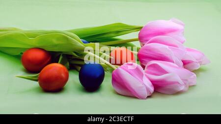 easter still life flowers tulips and painted eggs Stock Photo