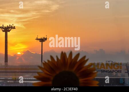 Singapore. March 2019. Airport lighting towers and orange cloudy sunrise at Changi International Airport. Lamp tower of spotlights on the pillars Stock Photo