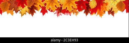 Autumn Seamless Border with Falling Autumn Leaves. Vector Illustration Stock Vector