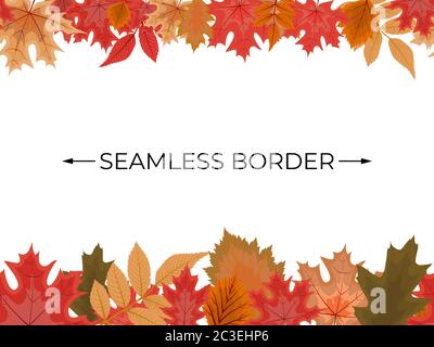 Autumn Seamless Border with Falling Autumn Leaves. Vector Illustration Stock Vector