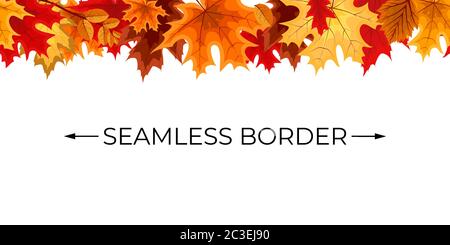 Autumn Seamless Border with Falling Autumn Leaves. Vector Illustration Stock Vector