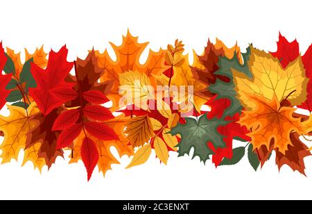 Autumn Seamless Border with Falling Autumn Leaves. Vector Illustration Stock Vector