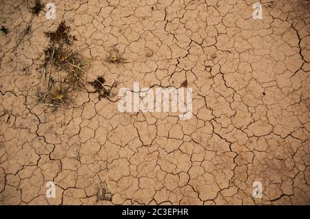 Cracked, brown earth with grass Stock Photo