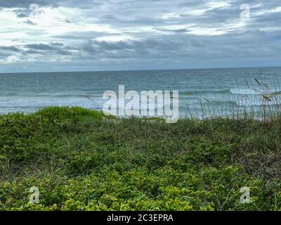 Sea oats  overlooking the beach and ocean on a beautiful cloudy day along the shoreline on North Hutchinson Island Florida. Stock Photo