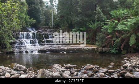 afternoon shot of liffey falls in tasmania Stock Photo
