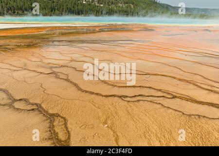https://l450v.alamy.com/450v/2c3f4fd/colorful-cyanobacteria-mats-surround-the-grand-prismatic-spring-the-largest-hot-spring-in-yellowstone-national-park-and-third-largest-in-the-world-grand-prismatic-is-about-250-by-300-feet-in-size-averages-160-degrees-fahrenheit-and-is-up-to-160-feet-deep-the-bright-colors-around-the-spring-are-from-microorganisms-growing-in-the-hot-water-runoff-the-grand-prismatic-spring-is-part-of-the-midway-geyser-basin-excelsior-group-in-yellowstone-wyoming-2c3f4fd.jpg