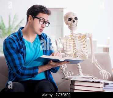 Student studying with skeleton preparing for exams Stock Photo