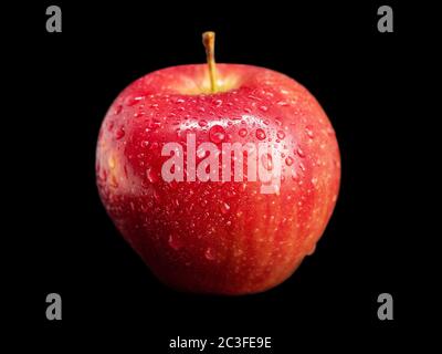 Beautiful red apple with drops of water on a black background Stock Photo