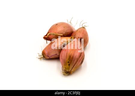 Vegetables: several shallots isolated on white background Stock Photo