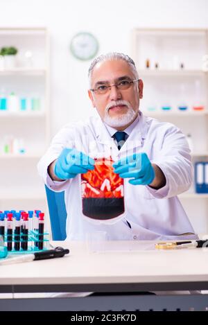 Old male chemist working in the lab Stock Photo