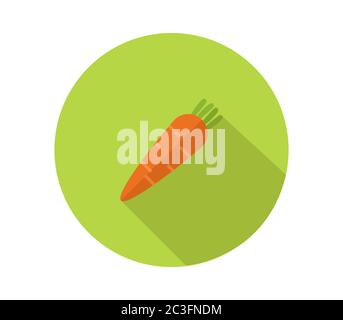 carrot icon illustrated in vector on white background Stock Photo