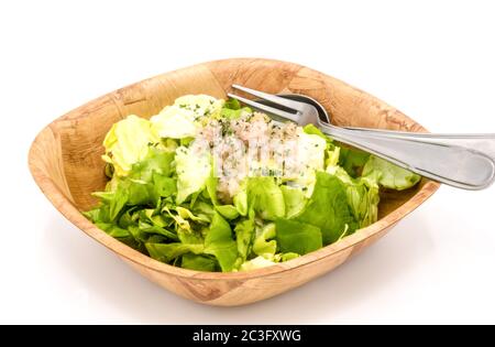 fresh green lettuce salad in a bowl isolated on a white background. Stock Photo