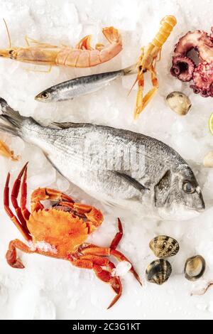 Fish and seafood, a flatlay top shot on white. Sea bream. shrimps, crab, sardines, and clams on ice Stock Photo