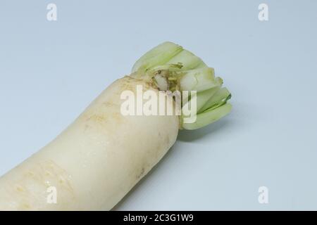 Fresh organic daikon radishes isolated on white background Stock Photo
