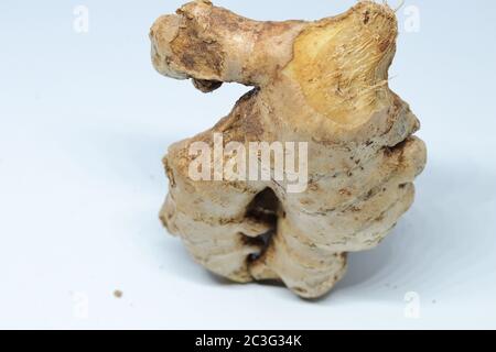 fresh ginger isolated on white background Stock Photo