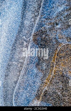 Air bubbles in thin ice Stock Photo
