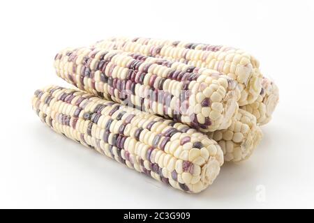 Waxy corn Stock Photo