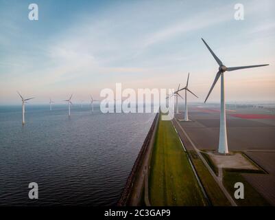 Drone flying over windmill farm with colorful tulip fields in the Noordoostpolder netherlands, Green energy windmill turbine at Stock Photo
