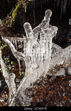 Ice on frozen branches at the waterfall Plaesterlegge in winter, Bestwig, Germany, Europe Stock Photo