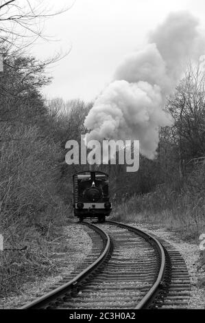 'Vulcan' on the Springwell Branch with two vans. Barrow Hill. Stock Photo