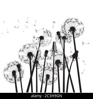 Dandelion composition. Vector Illustration. EPS file. Stock Vector