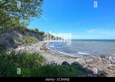 Beach with driftwood, stones and sand in front of the steep coast at the Baltic Sea, beautiful landscape for leisure activities, blue sky with copy sp Stock Photo