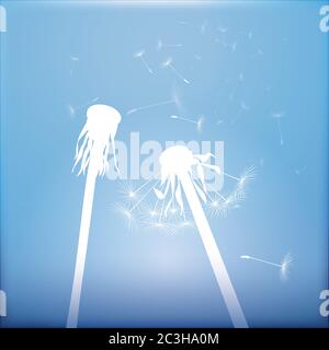 Dandelion on colour background. Vector illustration. EPS file. Stock Vector