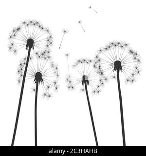 Dandelion composition. Vector Illustration. EPS file. Stock Vector