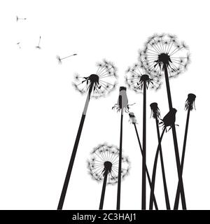 Dandelion composition. Vector Illustration. EPS file. Stock Vector