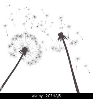 Dandelion composition. Vector Illustration. EPS file. Stock Vector